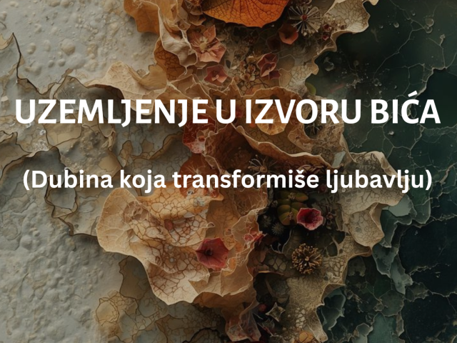 Uzemljenje u izvoru Bića